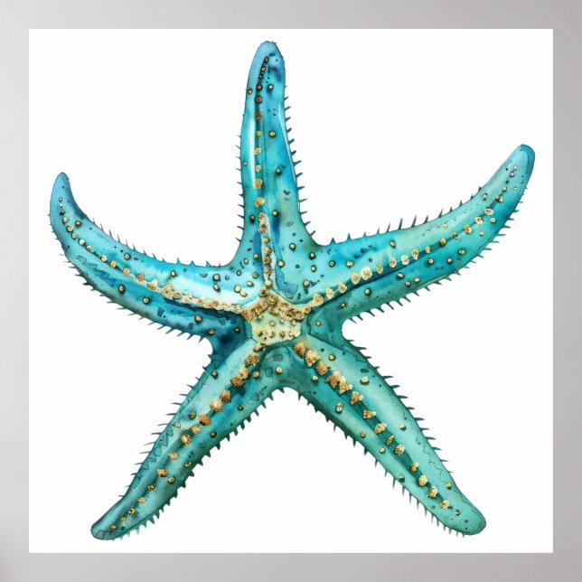  Turquoise starfish Poster (Front)