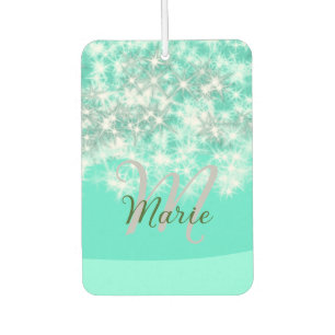 Turquoise teal agate aqua monogram add letter text car air freshener