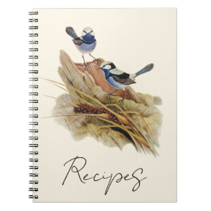 Turquoisine Superb Warbler, Notebook