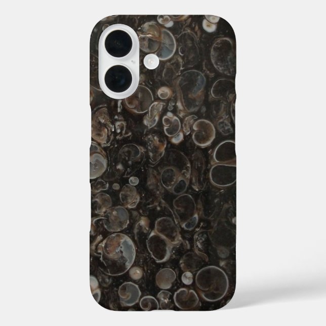 Turritella Agate Cross Section Case-Mate iPhone Case (Back)
