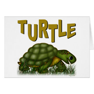 Turtle