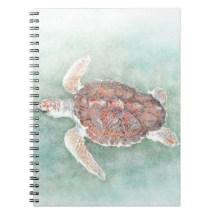 turtle 2 notebook