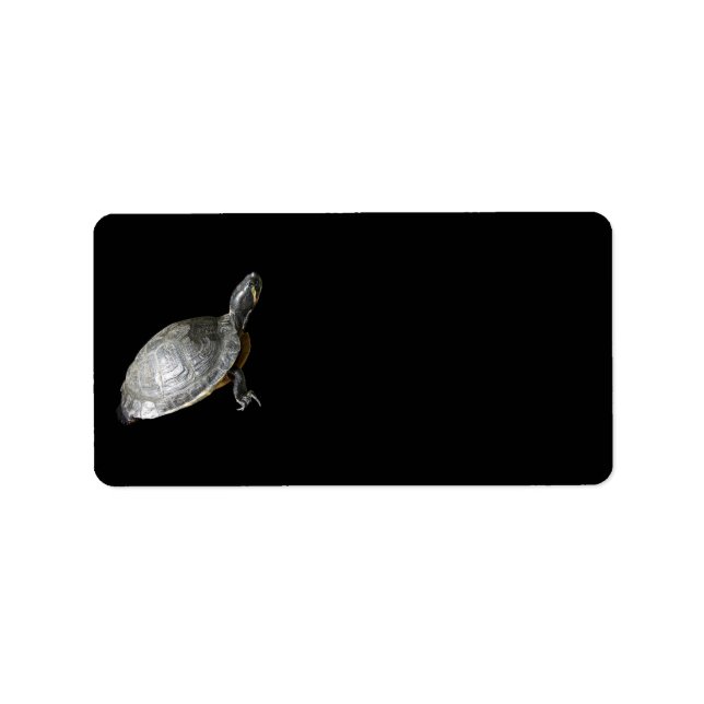 Turtle Address Label (Front)