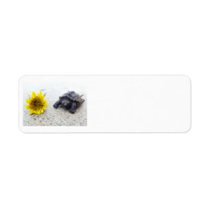 Turtle and dandelion label return address label