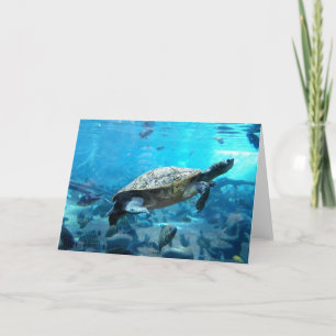 Turtle and fish holiday card