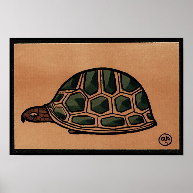 Turtle - Antiquarian, Colourful Book Illustration Poster (Front)