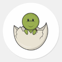 Turtle as Baby with Egg shell