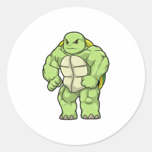 Turtle as Bodybuilder with Six pack Classic Round Sticker