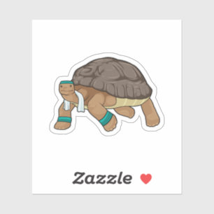 Turtle as Runner with Towel