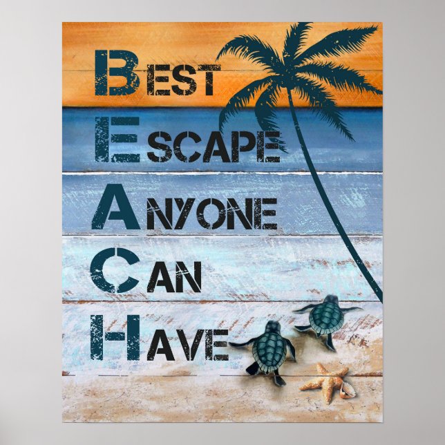 Turtle B.E.A.C.H Inspiration & Motivational Poster (Front)