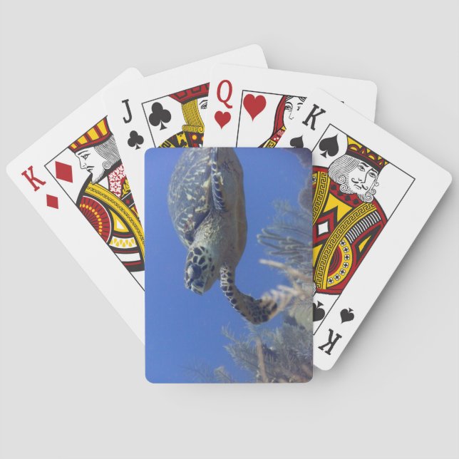 Turtle Bicycle Poker Deck (Back)