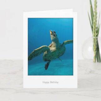 Turtle Birthday Card