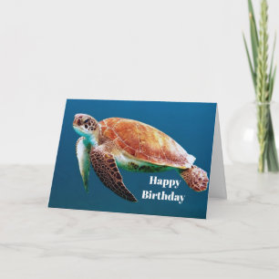 Turtle Blue Water Sea Photo Birthday Card