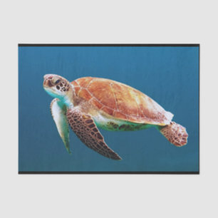 Turtle Blue Water Sea Photo Tissue Paper