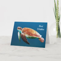 Turtle Blue Water Sea Photo Wedding