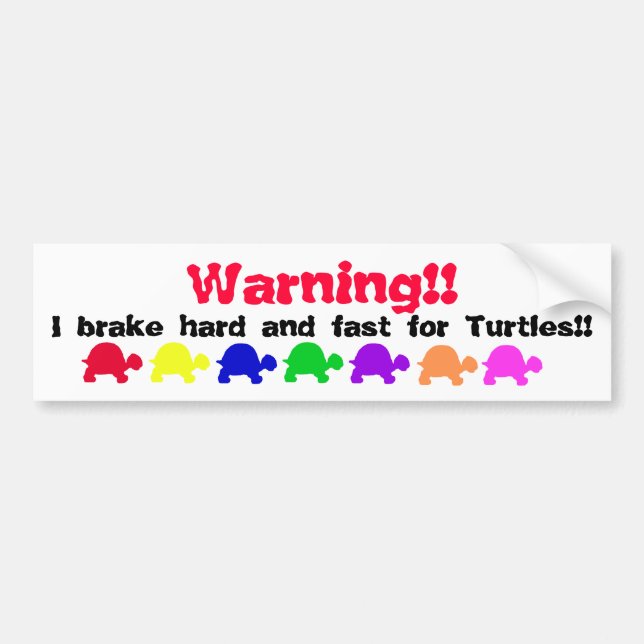 Turtle bumper sticker (colourful) (Front)