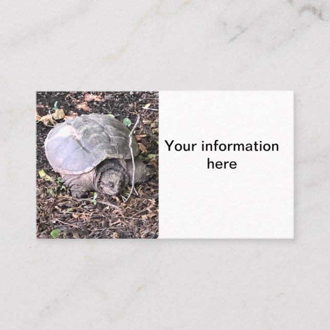 Turtle Business Card (Front)