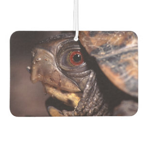 turtle car air freshener