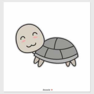 Turtle cartoon animal