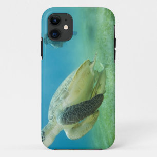 Turtle iPhone 11 Case