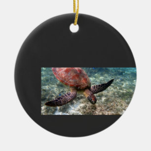 turtle ceramic ornament