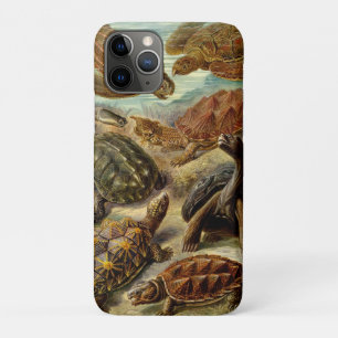 Turtle (Chelonia) by Haeckel iPhone 11 Pro Case