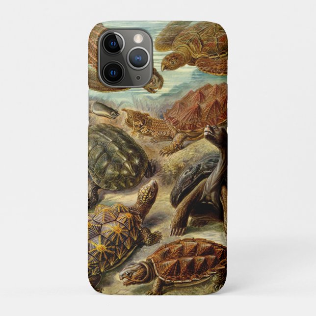 Turtle (Chelonia) by Haeckel Case-Mate iPhone Case (Back)