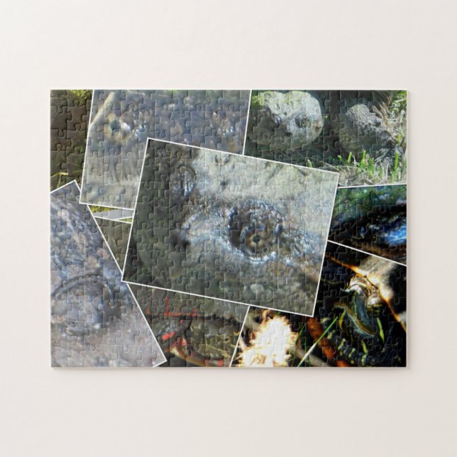 Turtle Collage Jigsaw Puzzle (Horizontal)