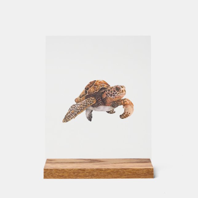 Turtle Copy Copy Copy Copy Copy Copy Copy Copy Cop Acrylic Sign (Front)