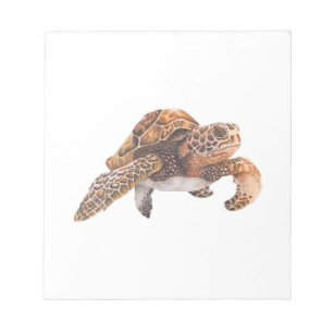 Turtle Copy Copy Copy Copy Copy Copy Copy Copy Cop Notepad
