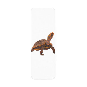 Turtle Copy Copy Copy Copy Copy Copy Copy Return Address Label
