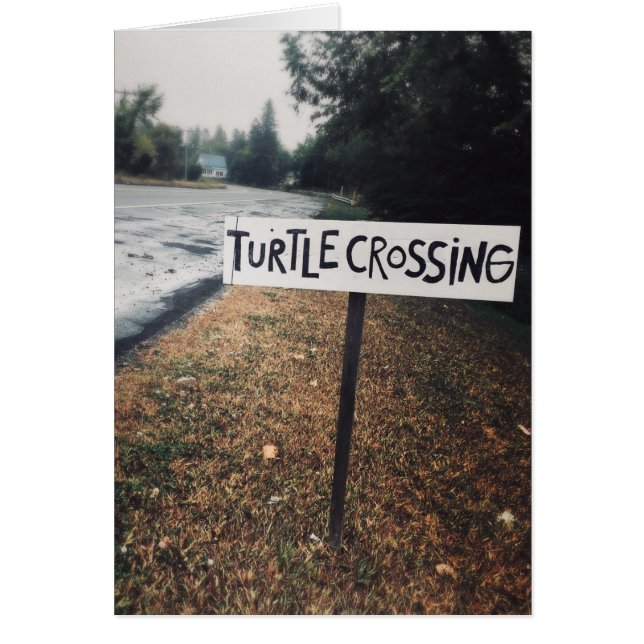 turtle crossing (Front)