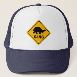 Turtle Crossing Hat