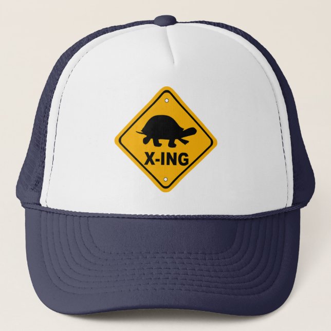 Turtle Crossing Hat