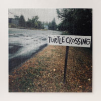 turtle crossing
