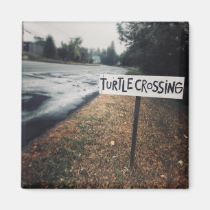 turtle crossing magnet