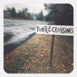 turtle crossing square sticker
