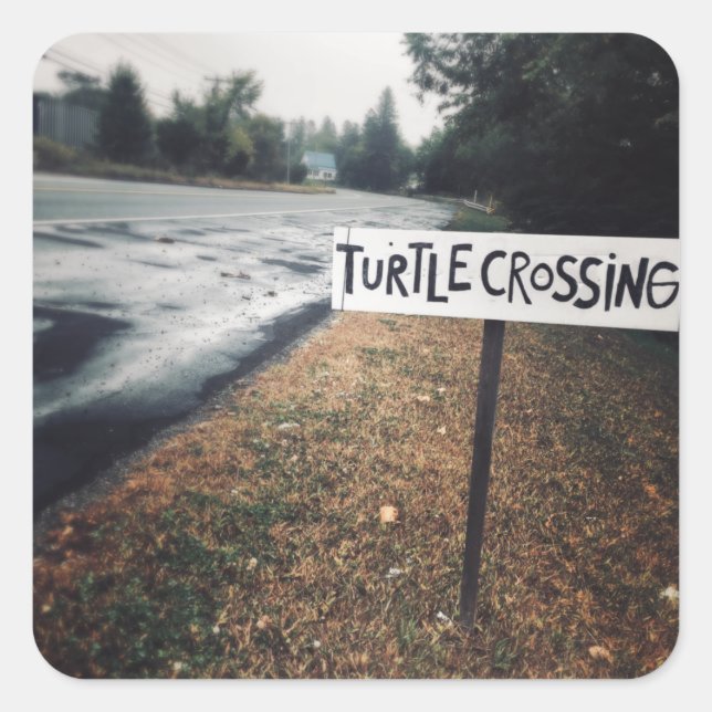turtle crossing square sticker (Front)