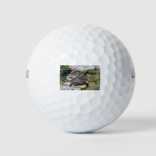 Turtle Cute Animal Office Custom Destiny Destiny'S Golf Balls