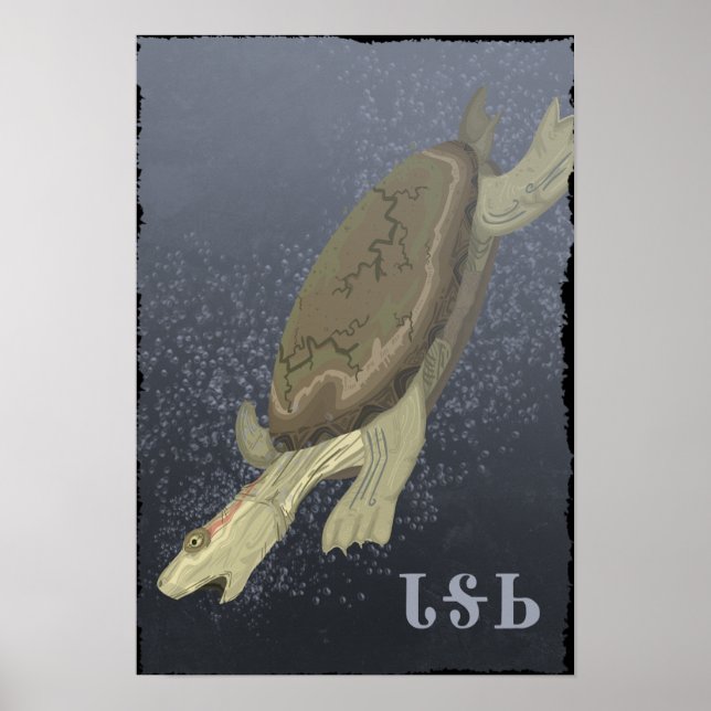 Turtle Dives Too Deep Poster (Front)