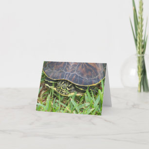 Turtle face peeking out of shell on blank note card