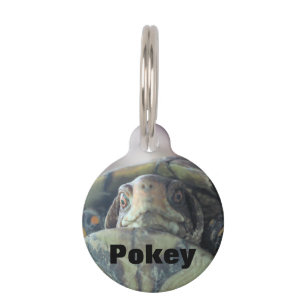 Turtle face pet tag