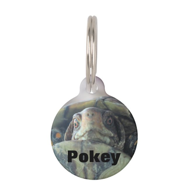 Turtle face pet tag (Front)