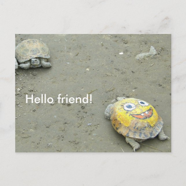 Turtle fan SpongeBob Postcard (Front)