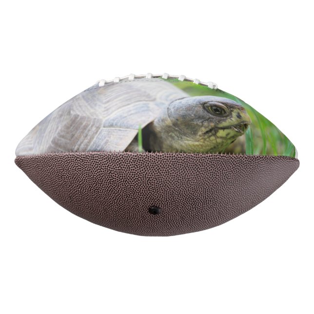 Turtle Football (Rotated 270)