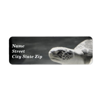 Turtle Fun Return Address Label