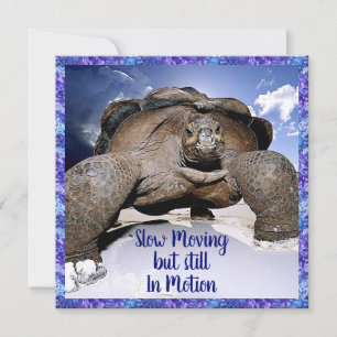 Turtle - Funny Birthday Card