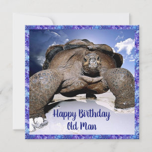 Turtle - Happy Birthday Old Man Card