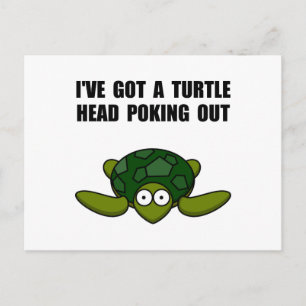 Turtle Head Poking Out Postcard