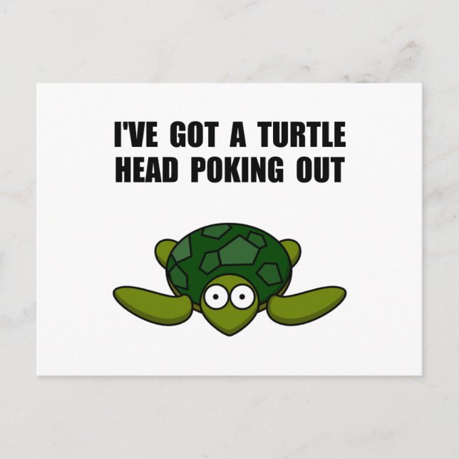 Turtle Head Poking Out Postcard (Front)